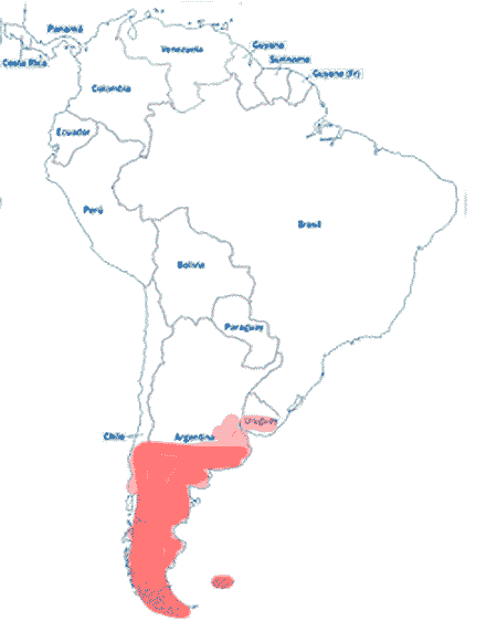 Nome cartina 