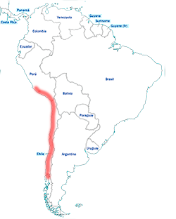 Nome cartina 