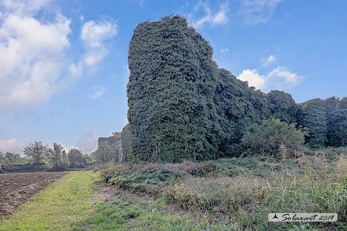 Castello di San Polo