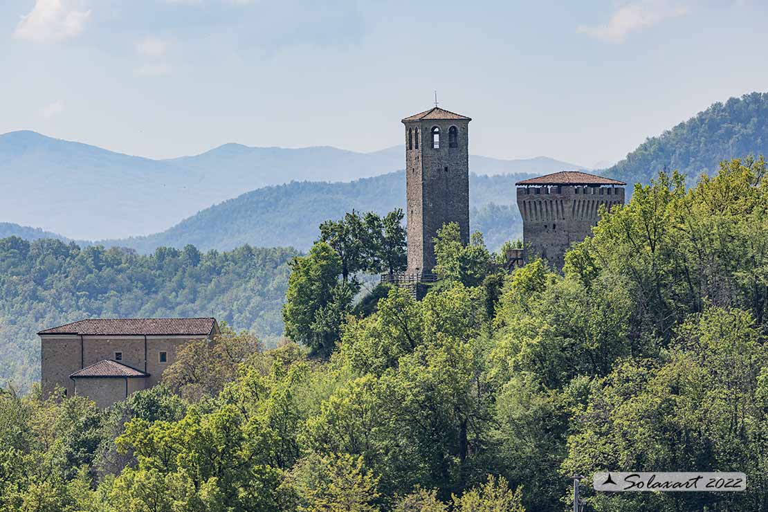 Castello di Baiso