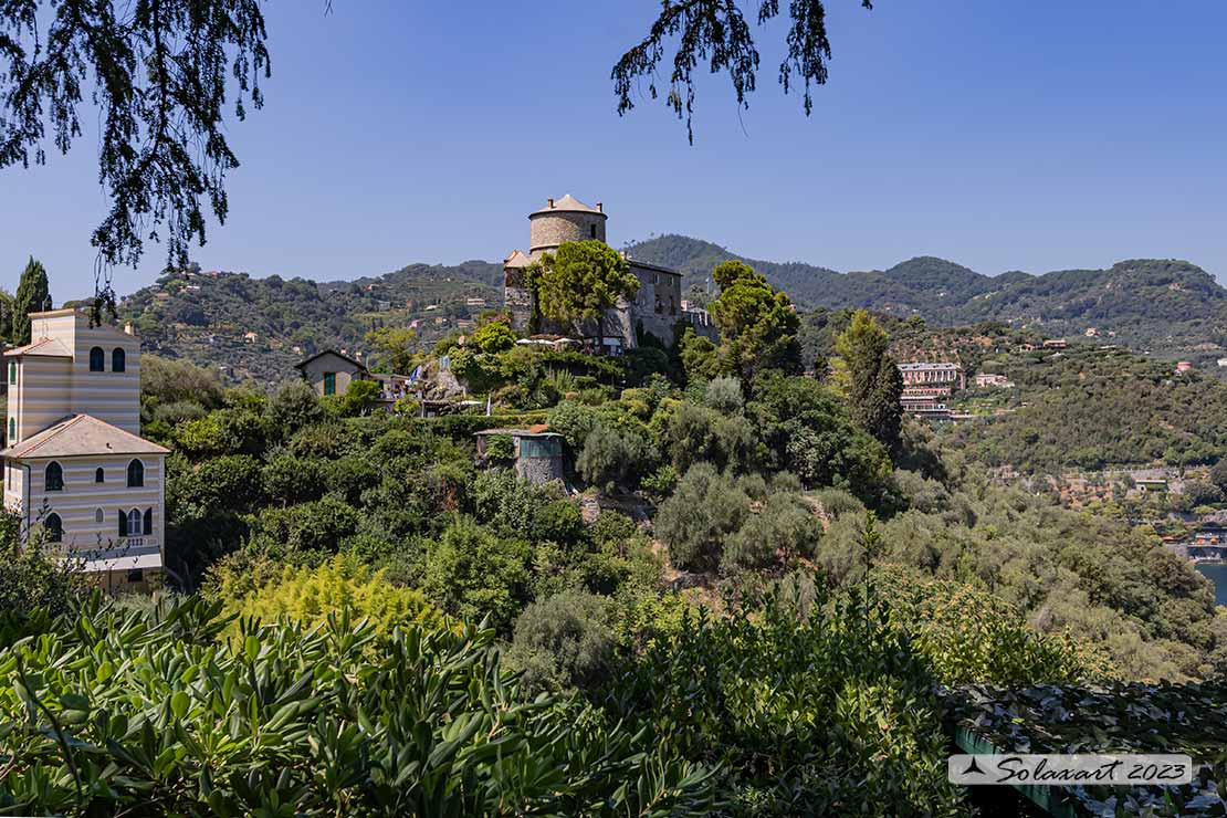 Castello Brown