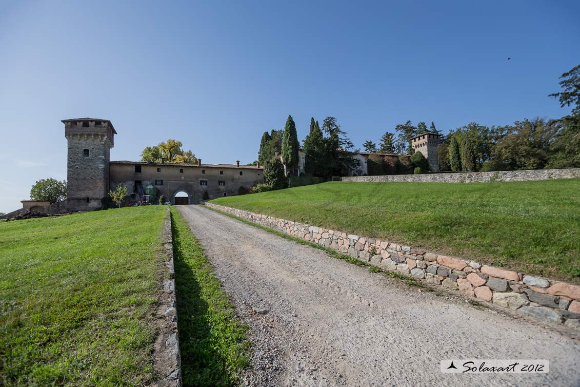 Castello di Frascarolo o Castello Medici di Marignano 