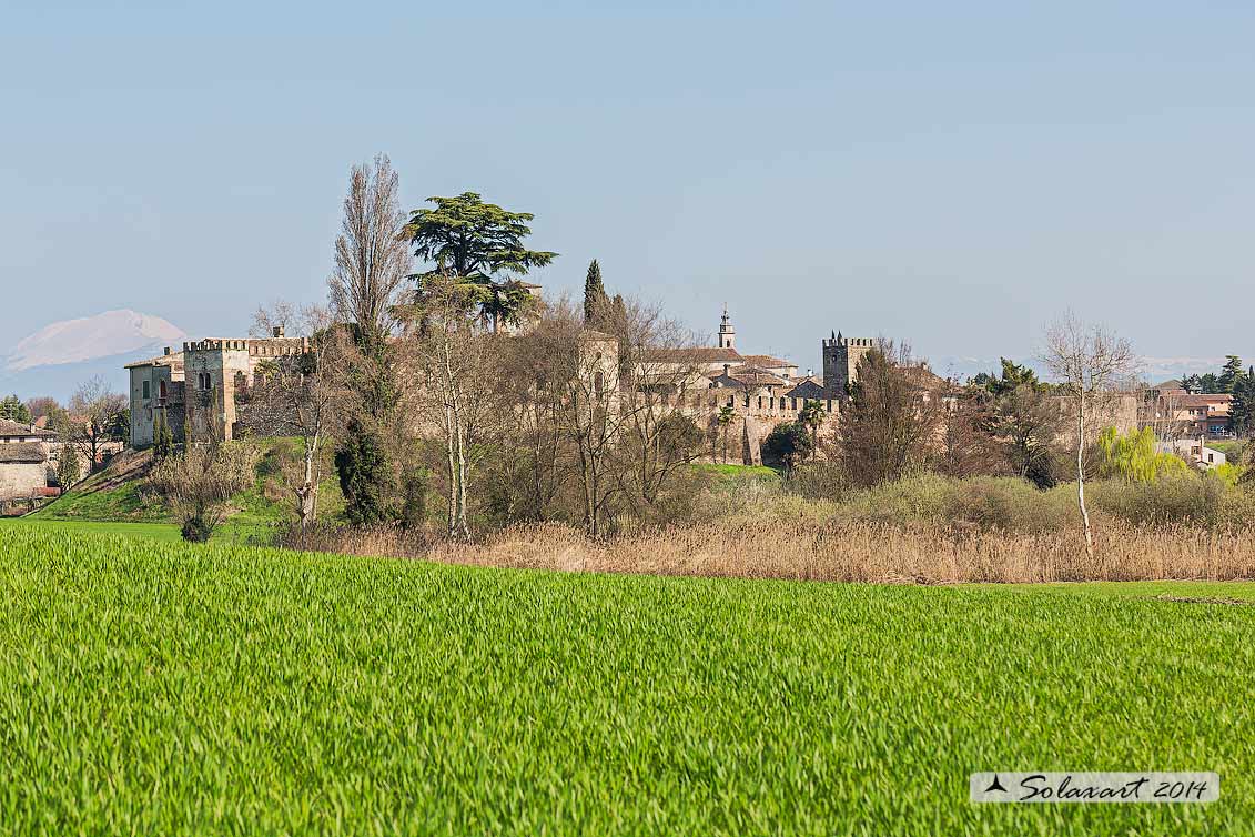 Castello di Castellaro Lagusello