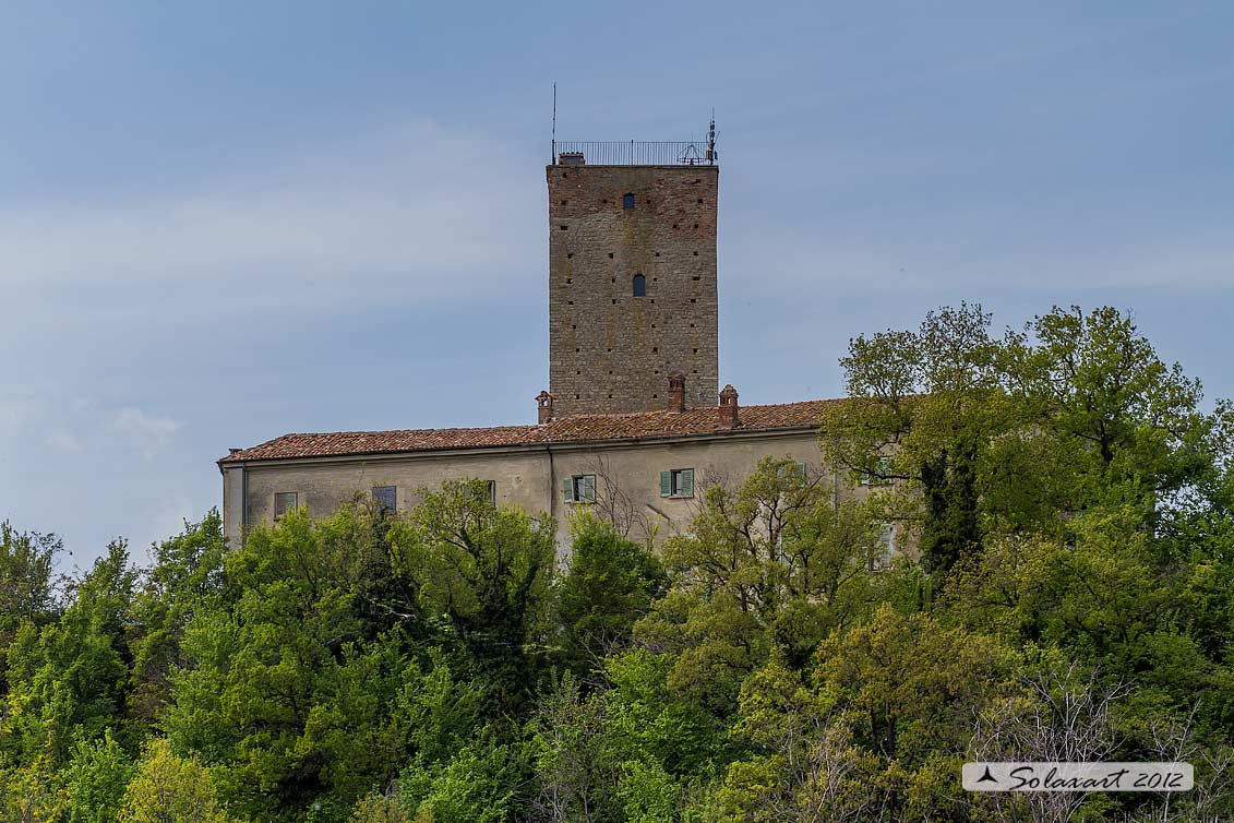 Stefanago