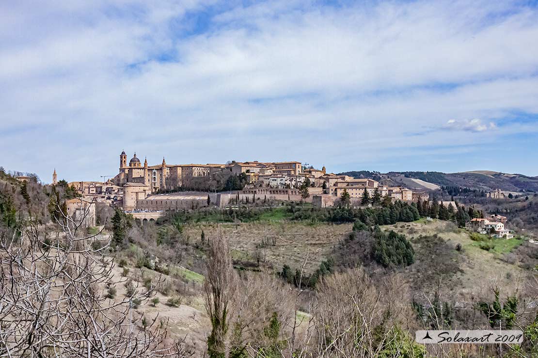 Urbino – Urbino - Palazzo Ducale