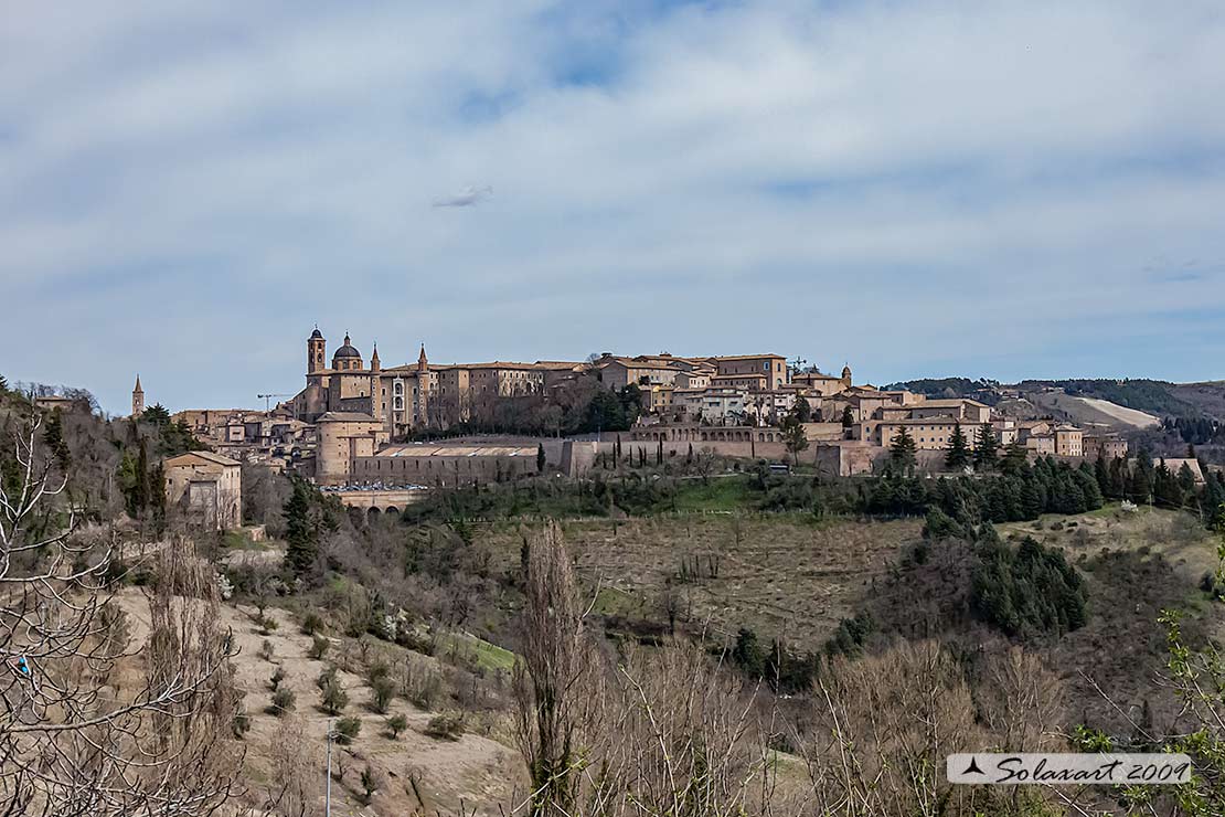 Urbino – Urbino - Palazzo Ducale