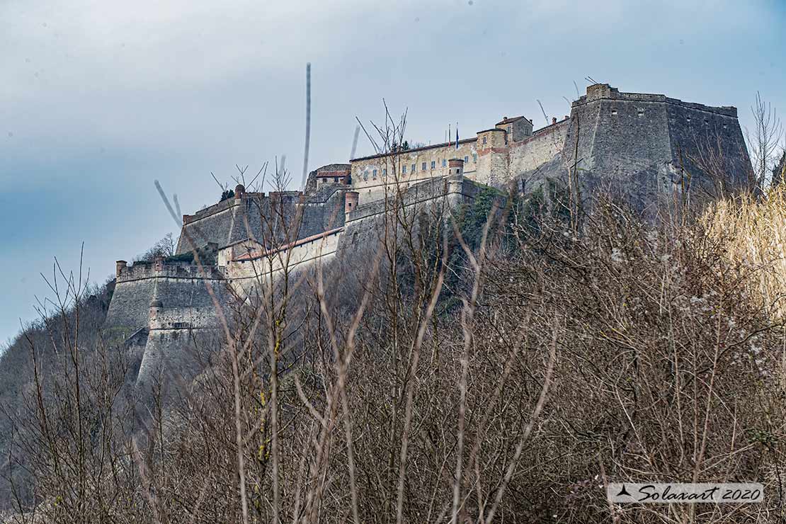 Forte di Gavi