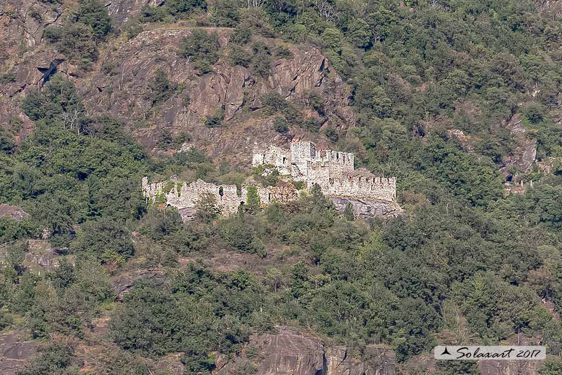 Castello di Cesnola