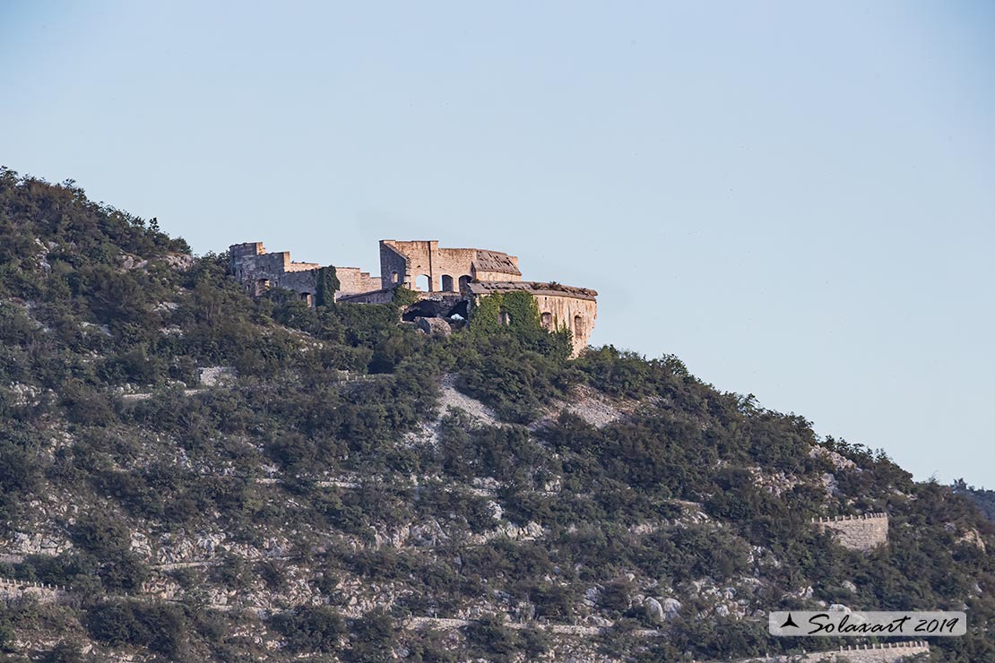 Forte Monte