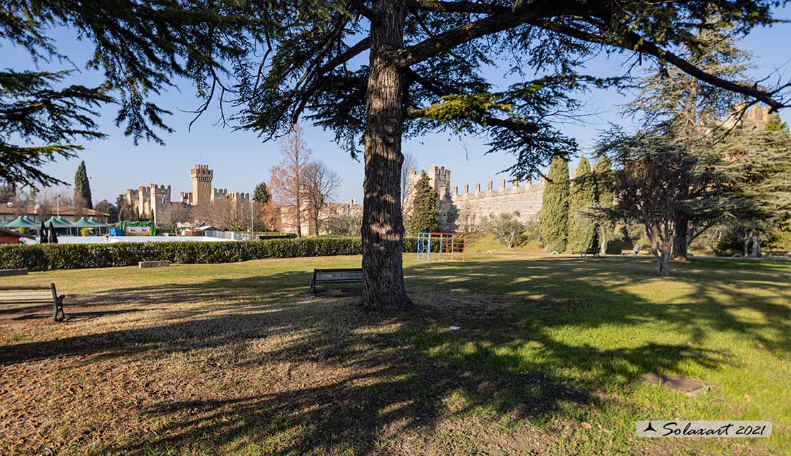 Castello Scaligero di Lazise