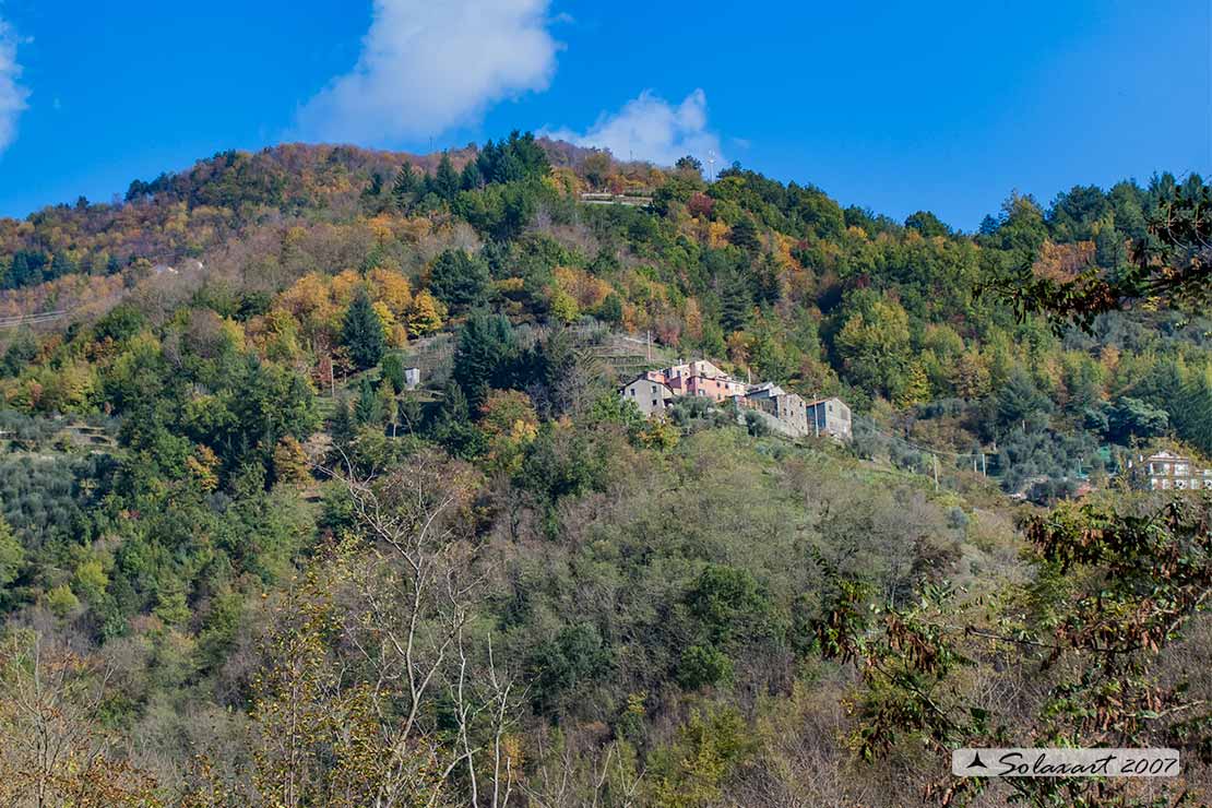 Verso il  passo del Bocco - Casolari