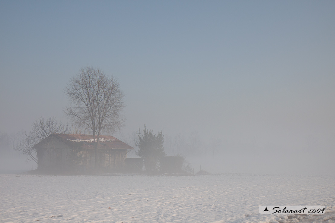 neve e rlflessi