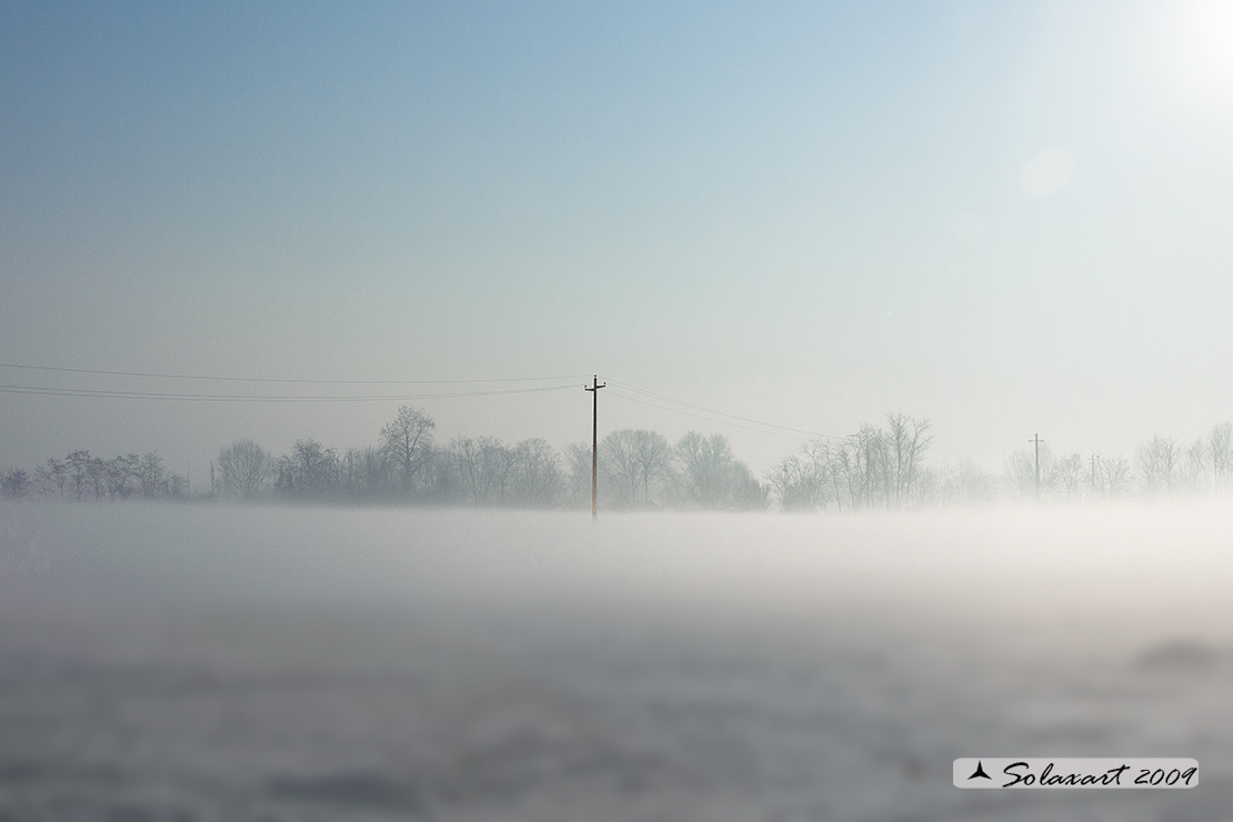 Un palo sorgente dalla nebbia