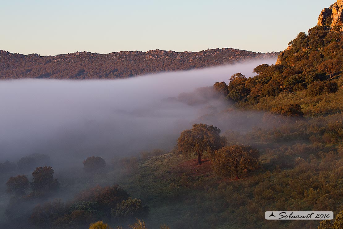 Spagna - Salamanca - parco di Monfrague e Los Campanarios :  alba a la Parilla