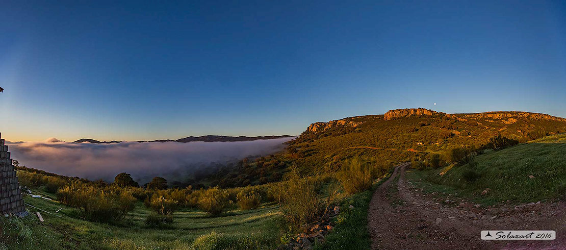 Spagna - Salamanca - parco di Monfrague e Los Campanarios : alba a la Parilla