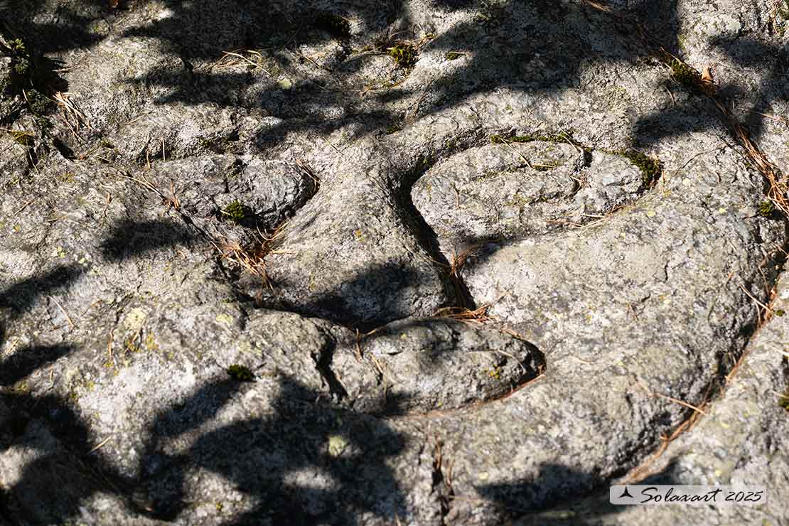 Lizzola: Incisione rupestre