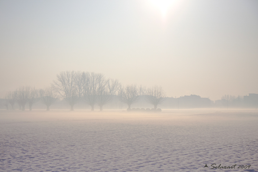 neve e rlflessi