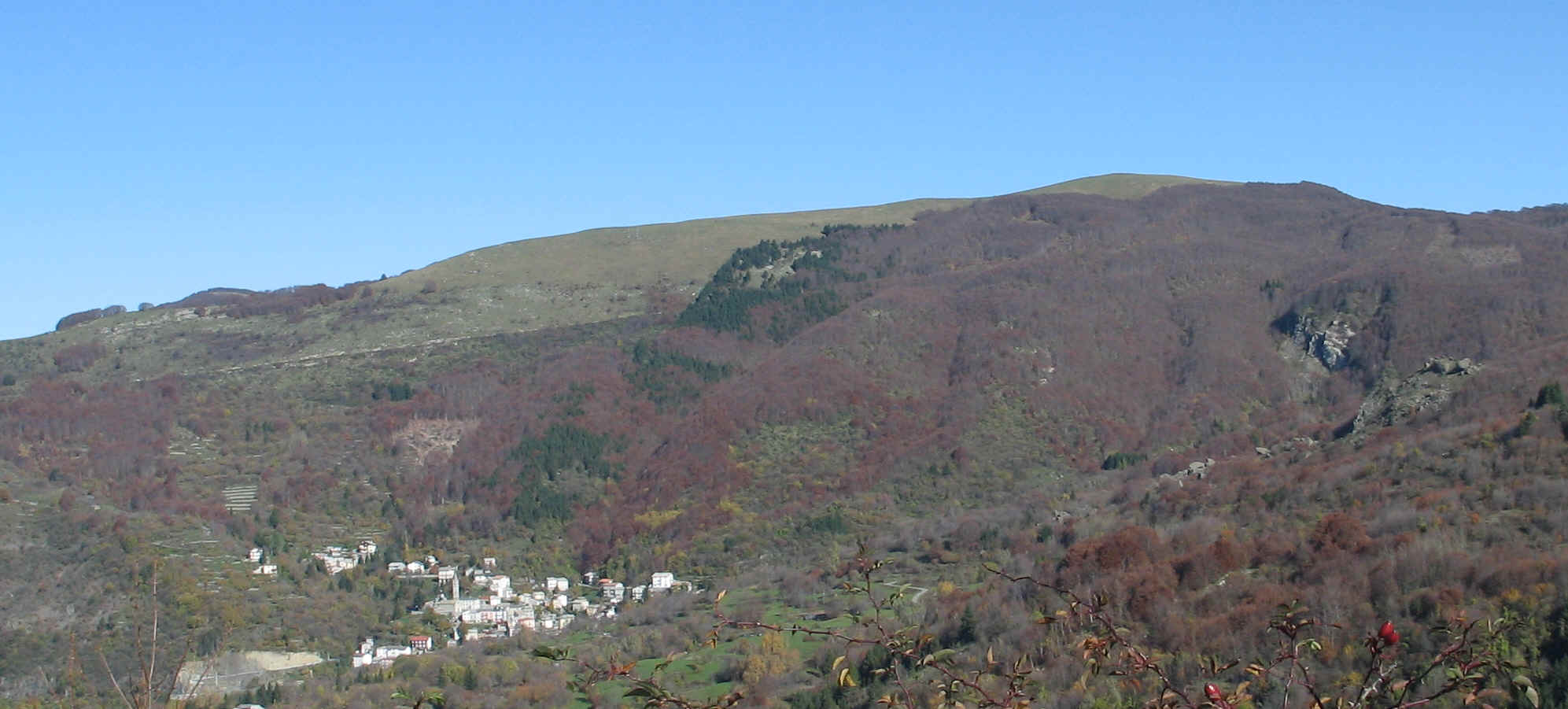 Torrio - Val d'Aveto