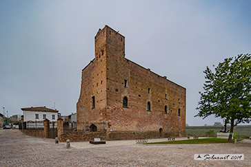Arena Po