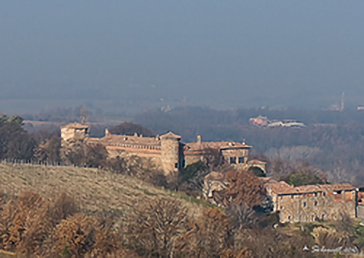 Momeliano