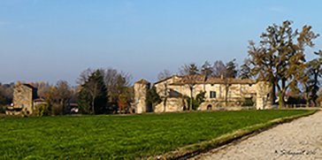 Lisignano