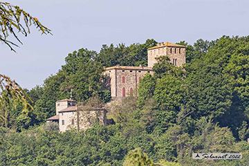 Traversetolo - Castello di Guardasone