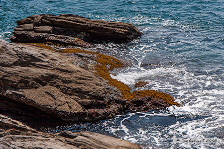 Spiaggia - battigia