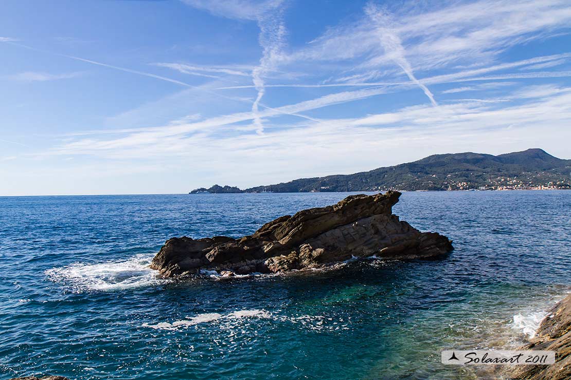 Zoagli - schêuggio do ferrâ  (scoglio del fabbro)