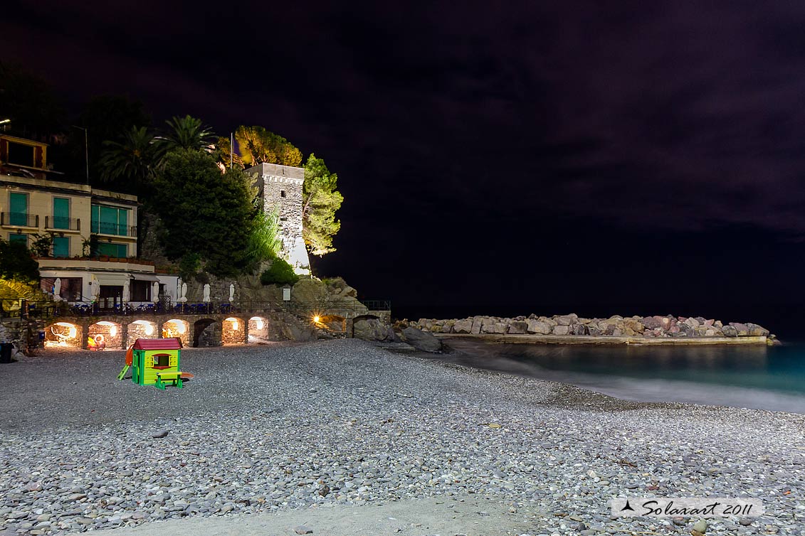 Zoagli notte - punta stella
