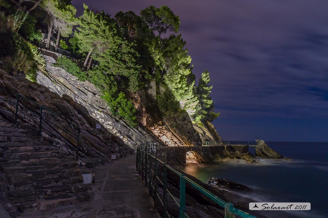 Zoagli - Passeggiata a mare in notturna