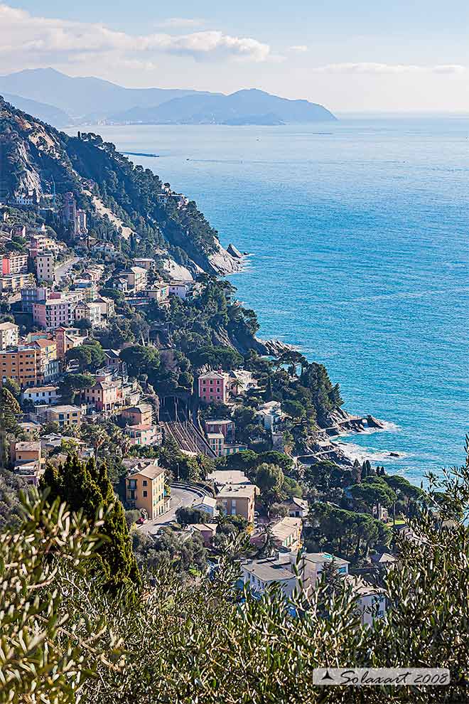 Zoagli - visto dal Castellaro